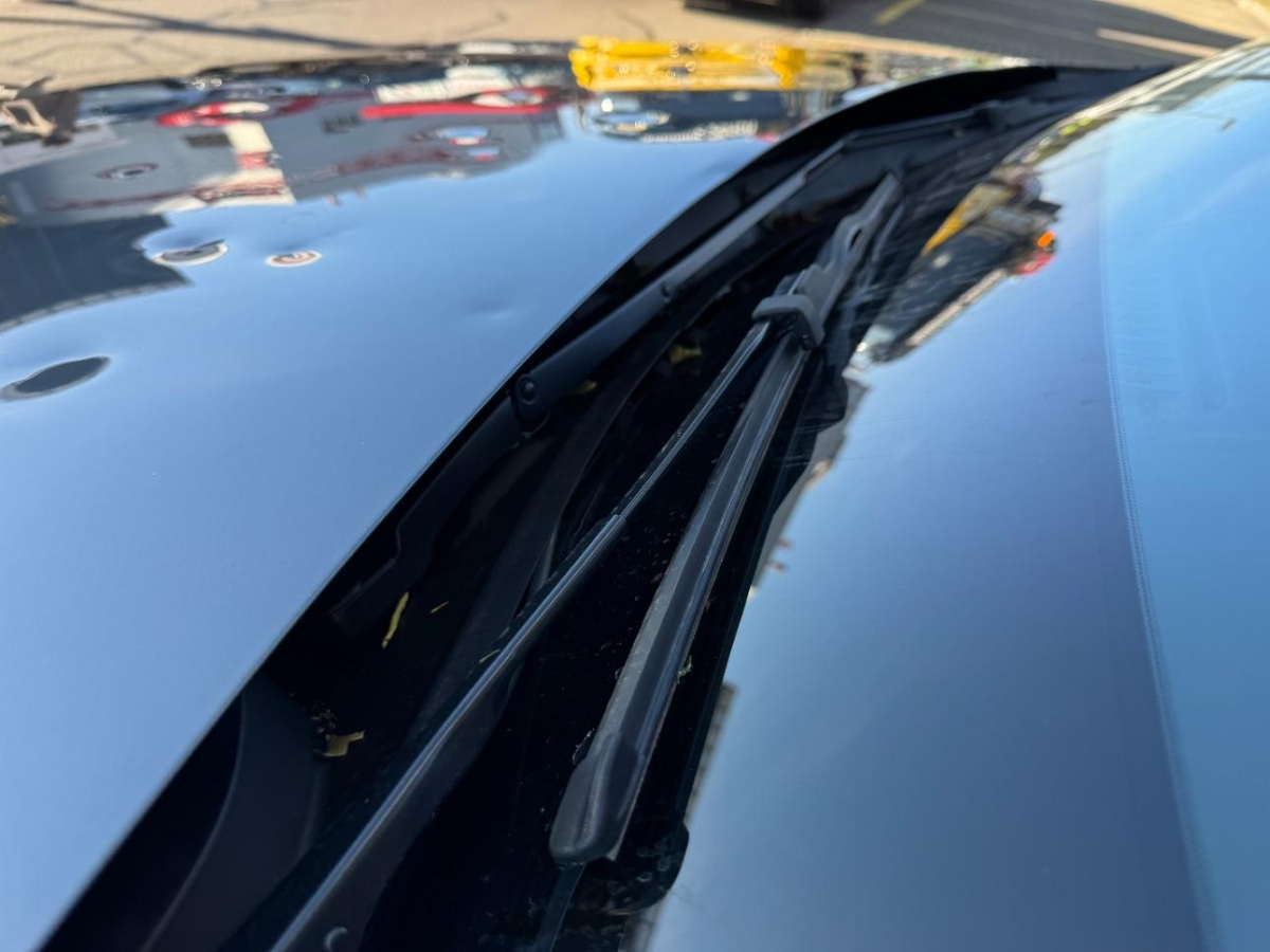 T19