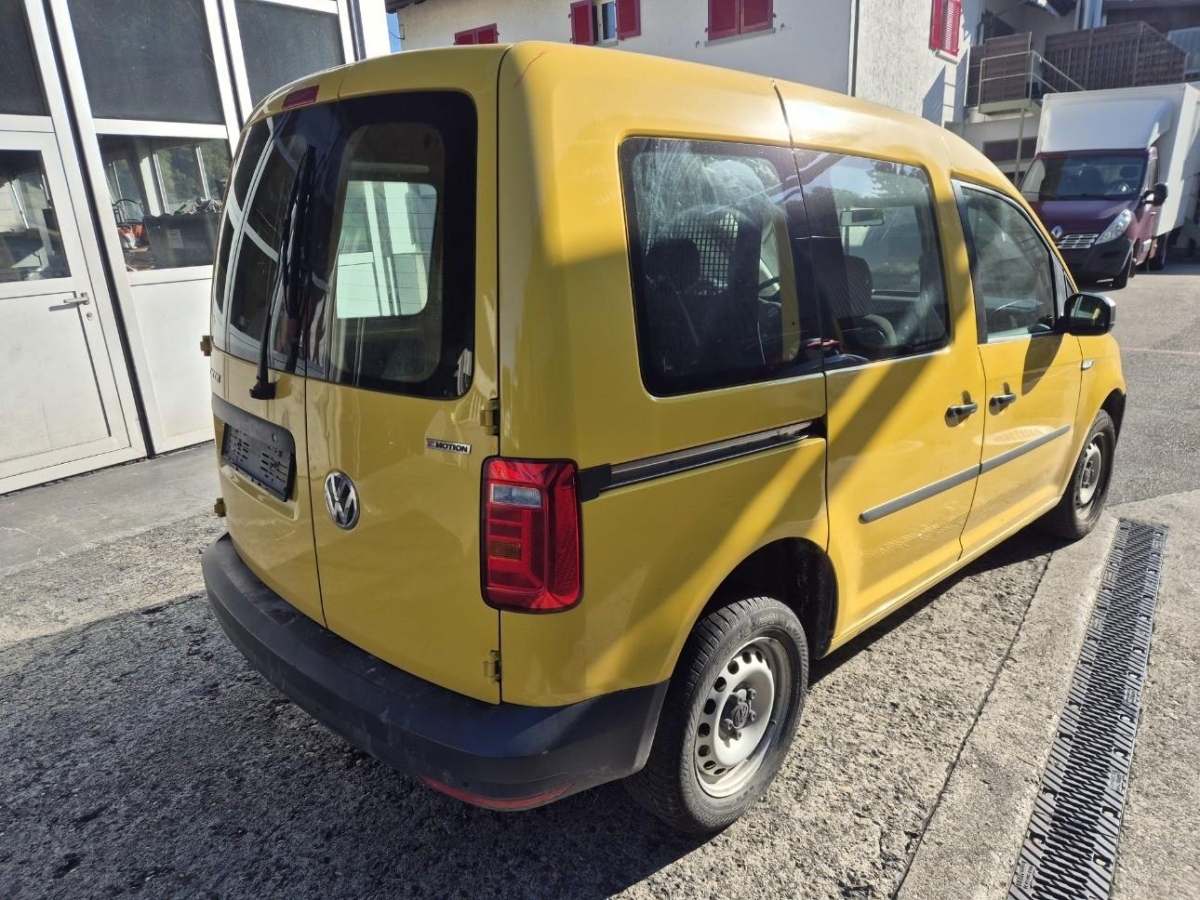 T5