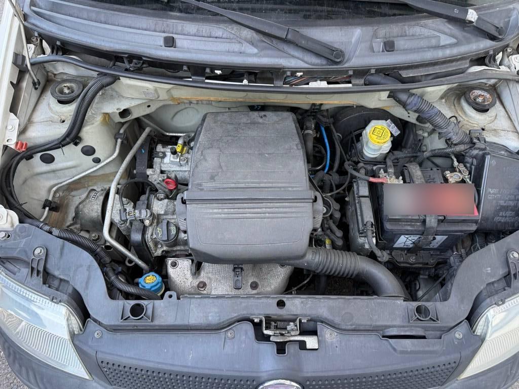 T11