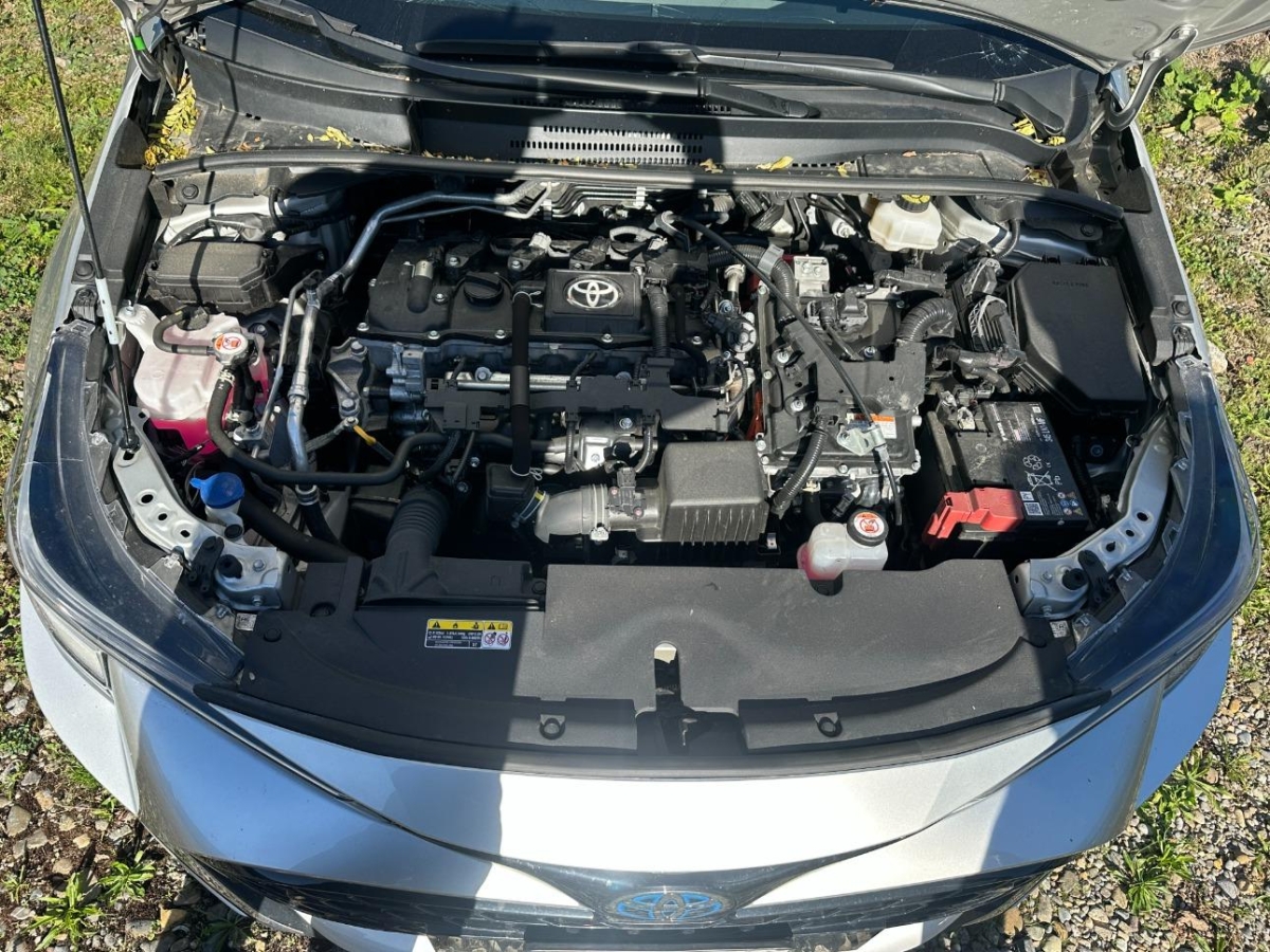 T10