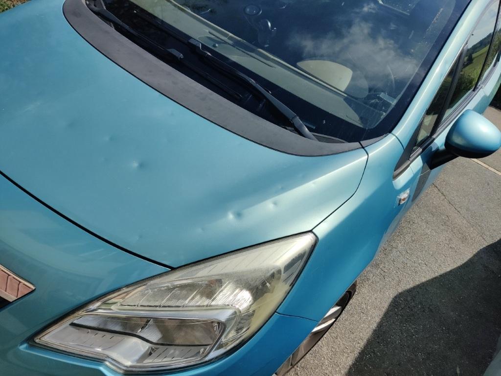 T16