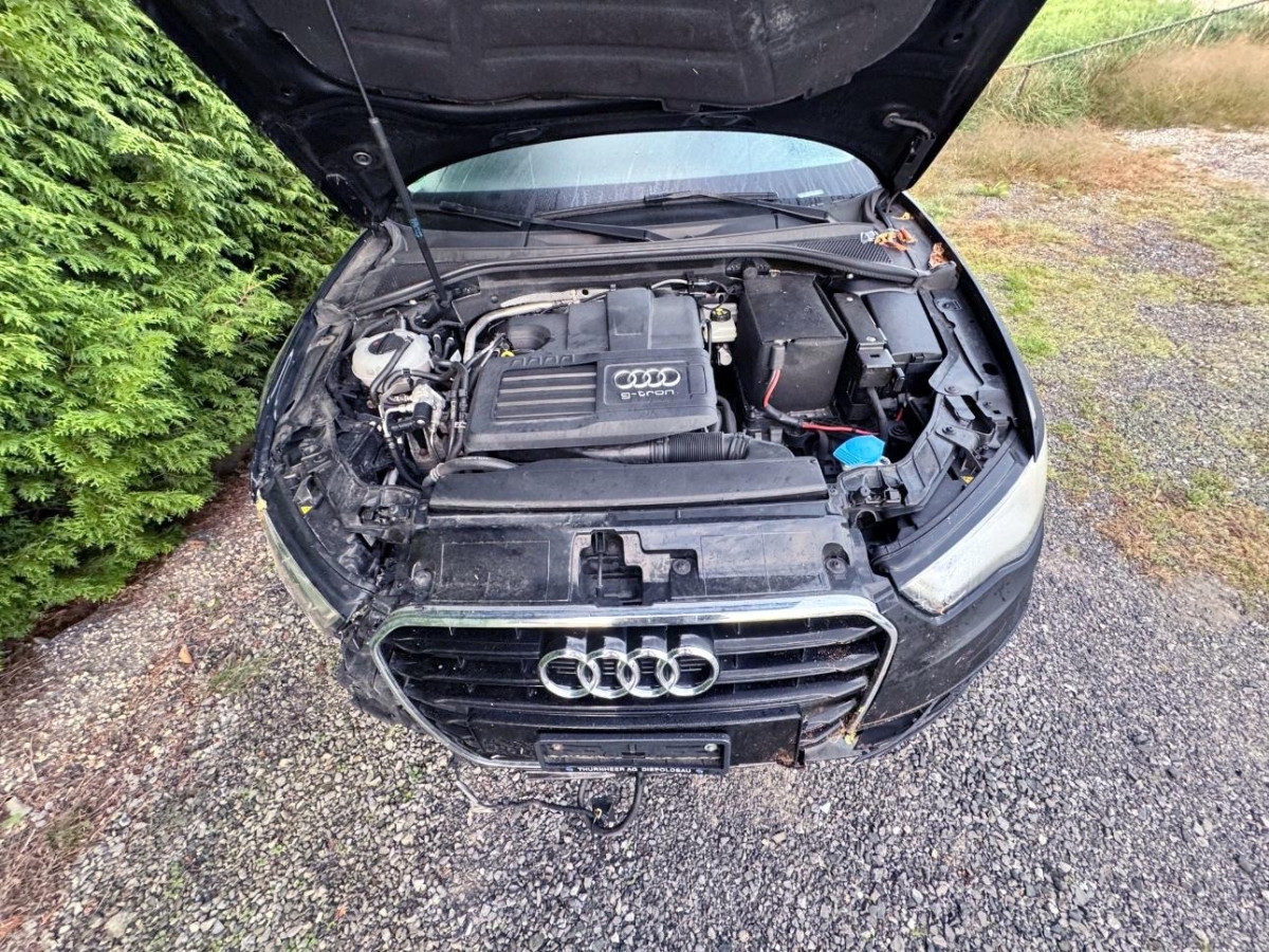 T13