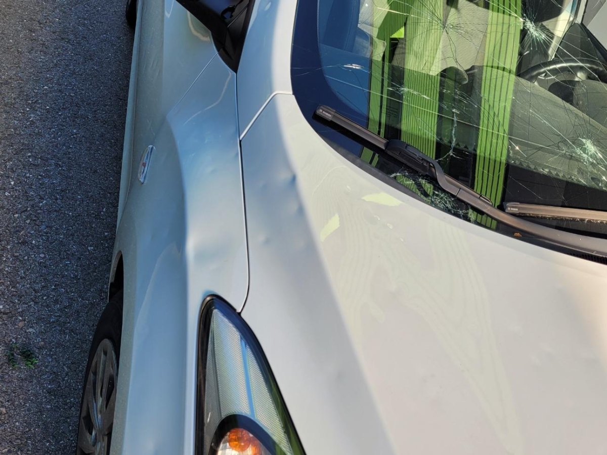 T11