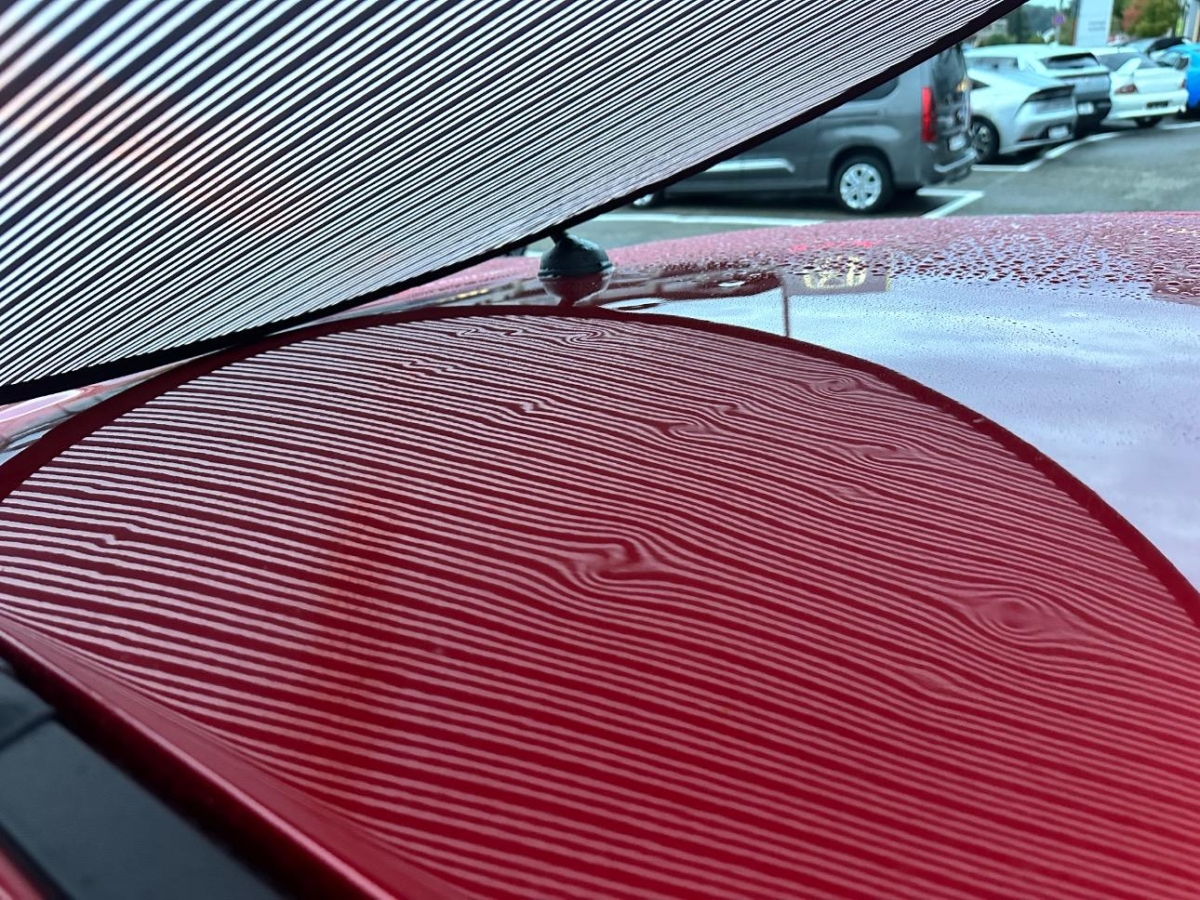 T19