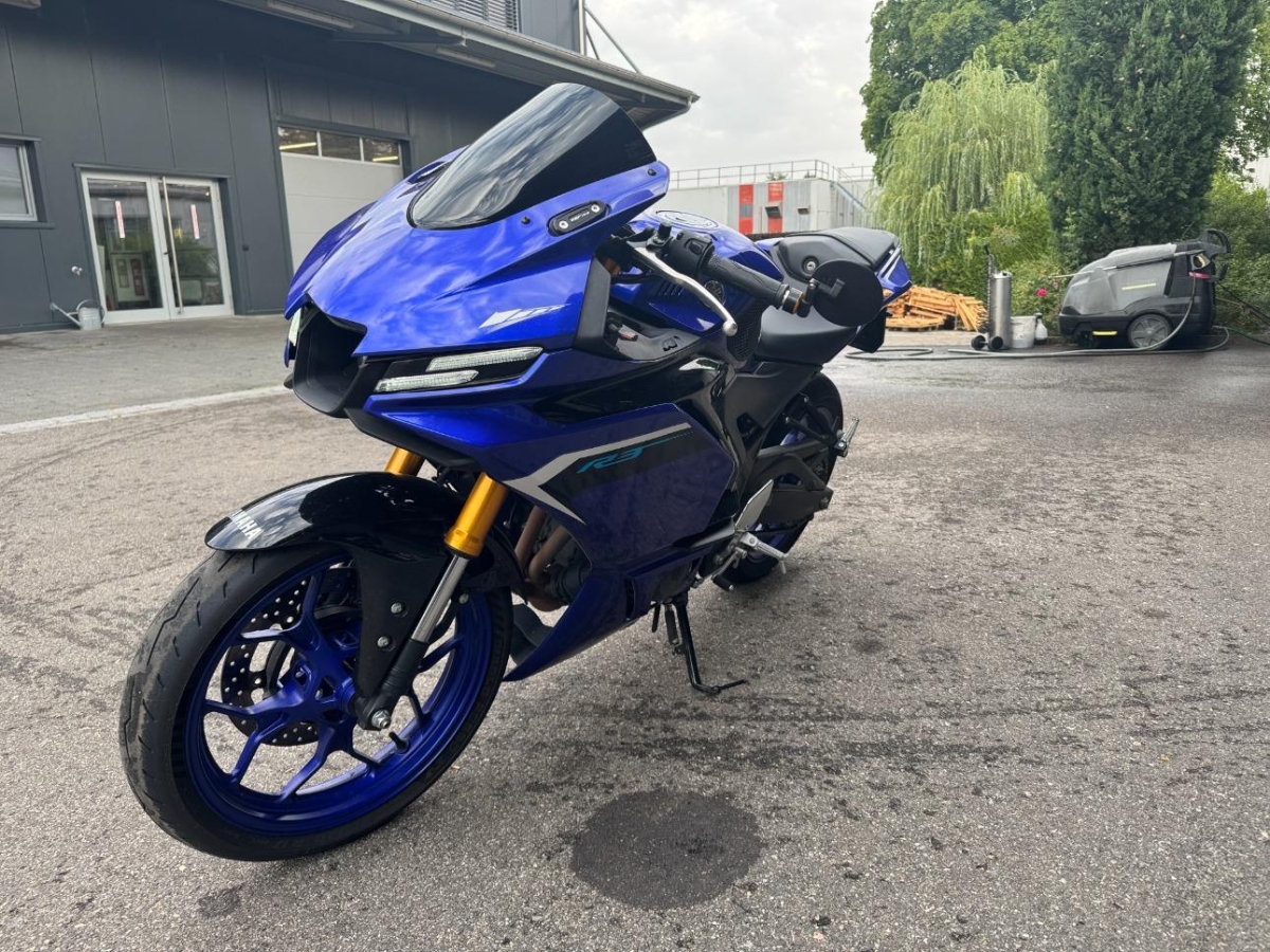 T6