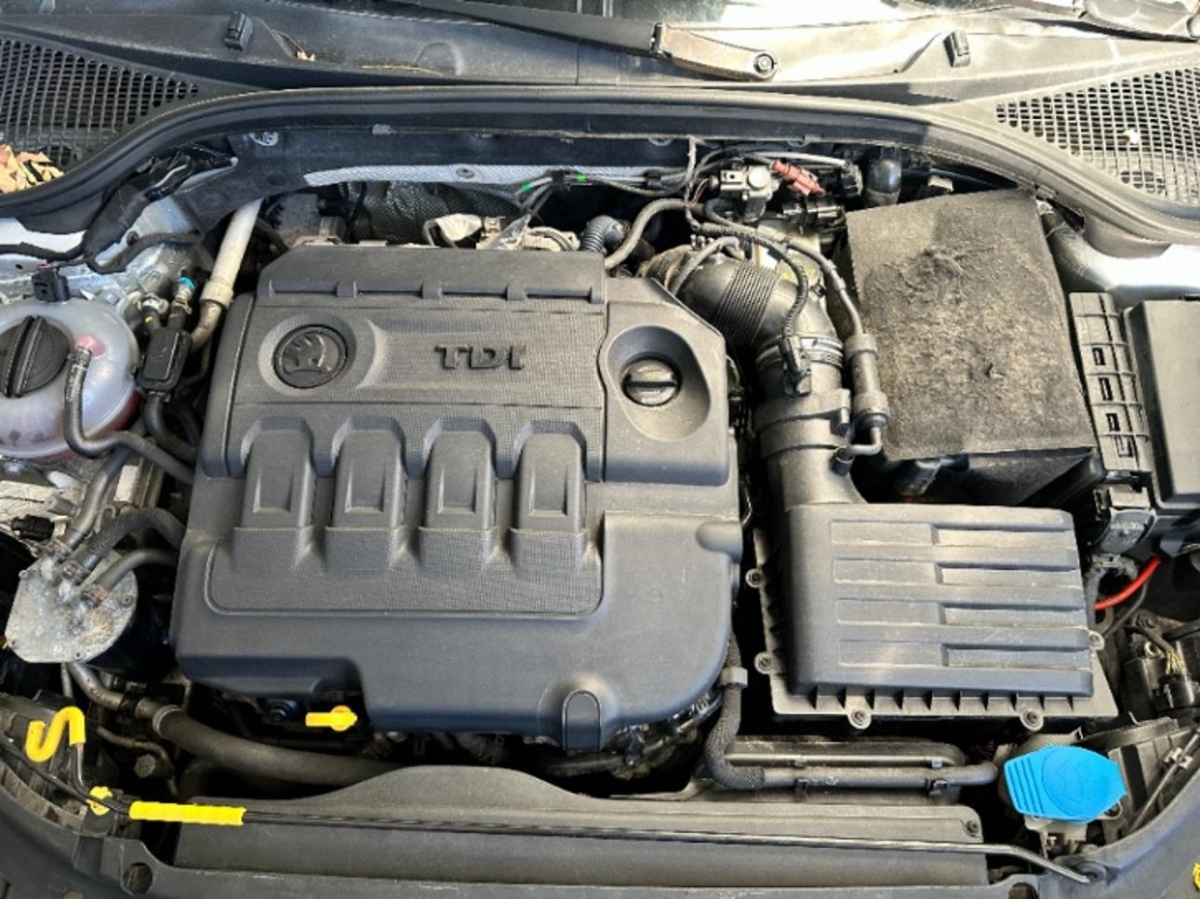 T11