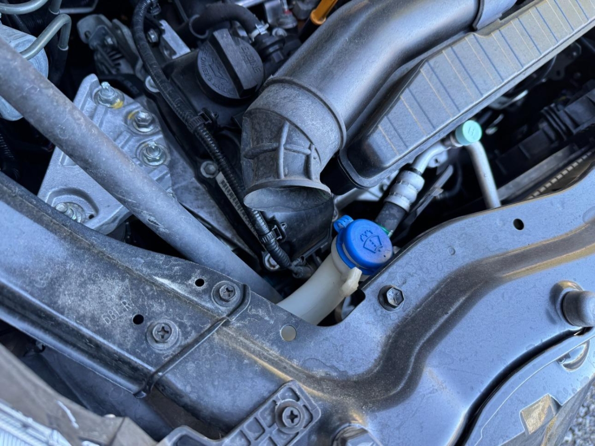 T16