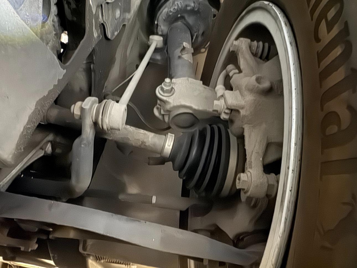 T19