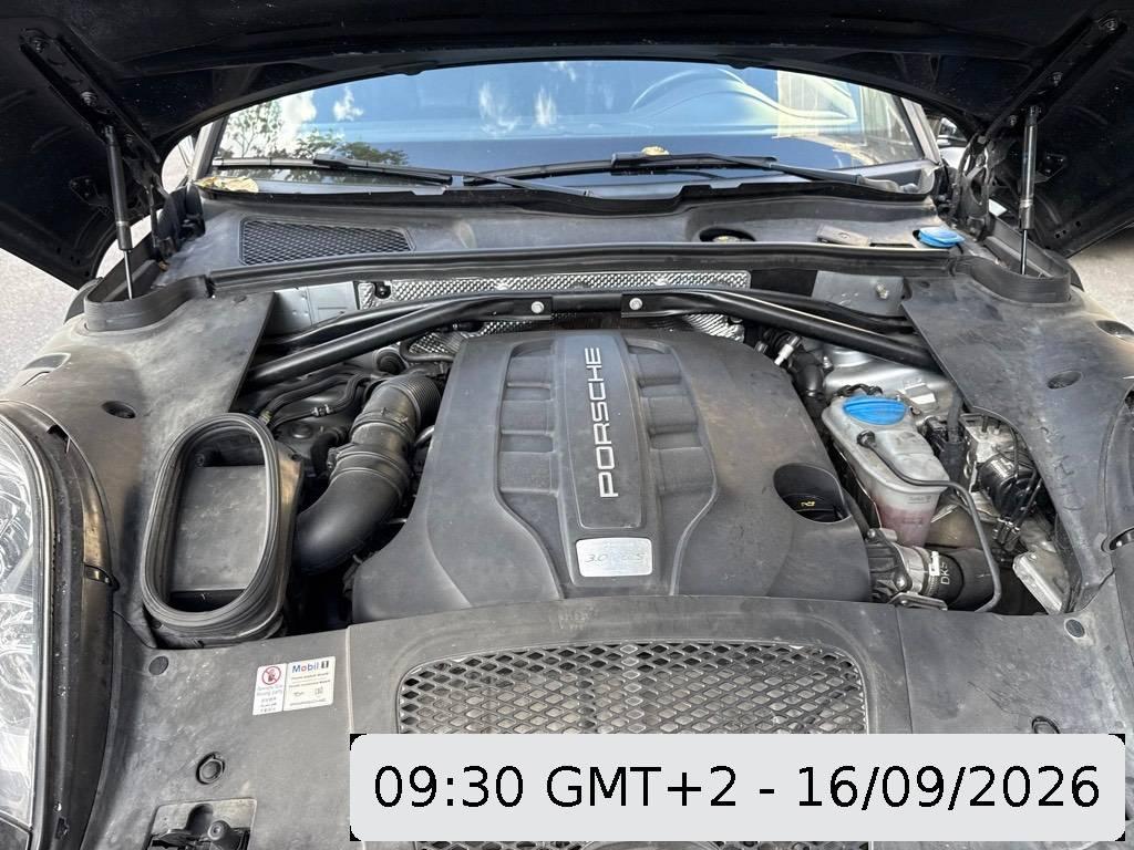T13