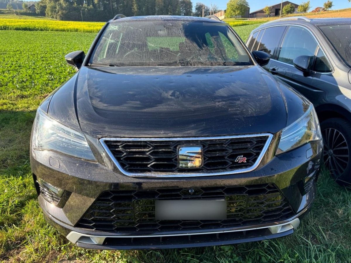 T5
