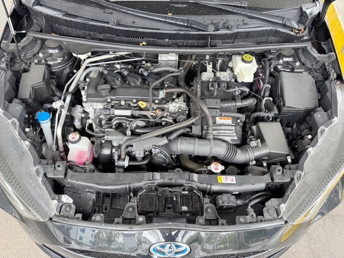 T13