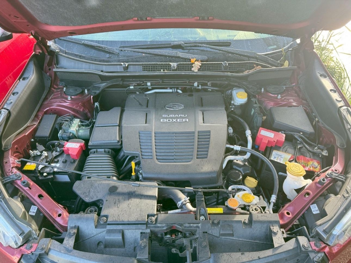 T11