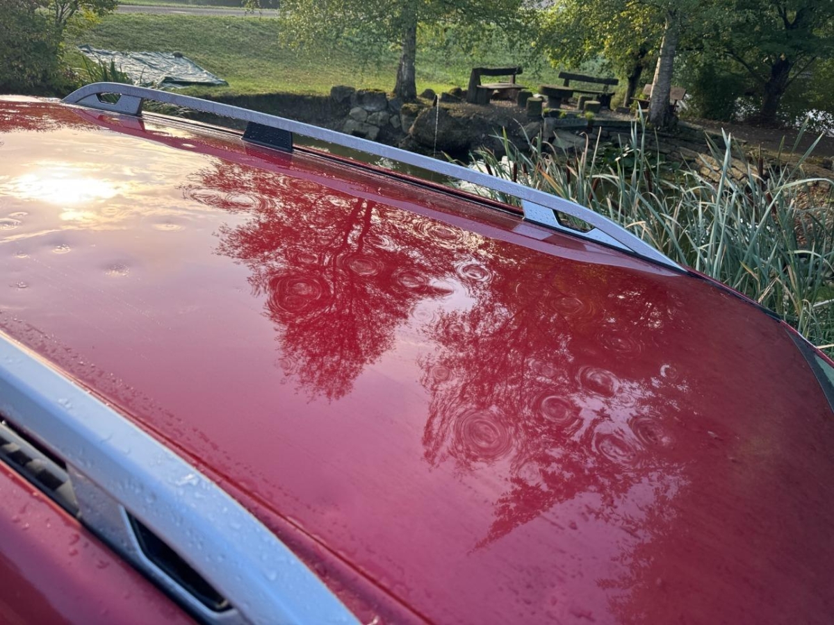 T13