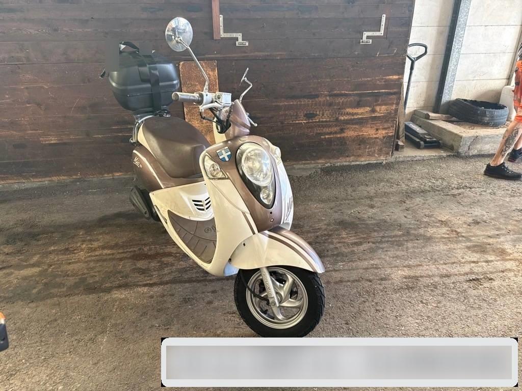 T6