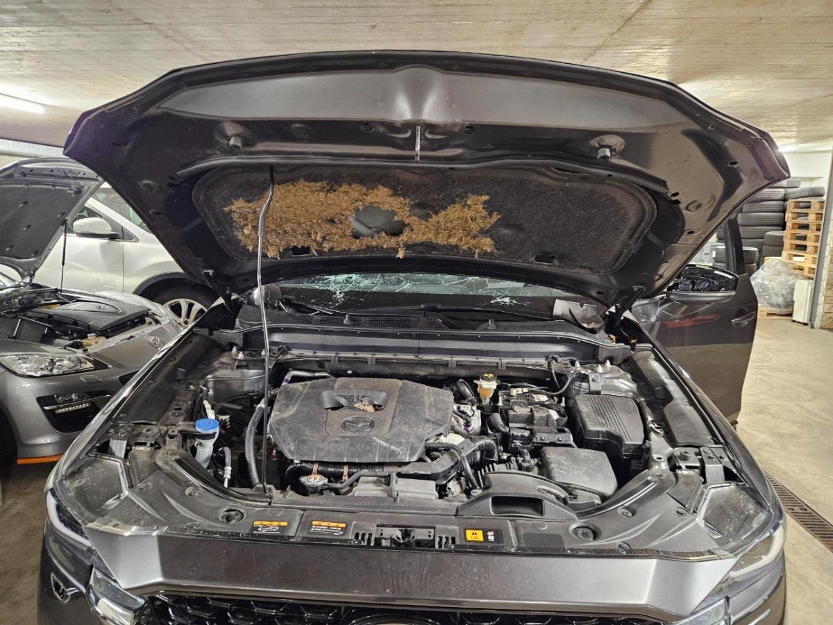T8