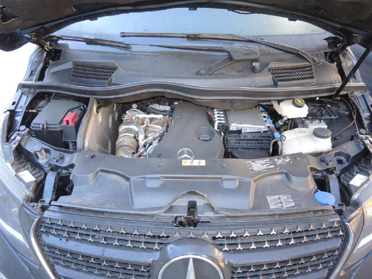 T13