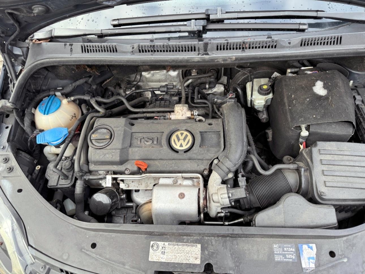 T5