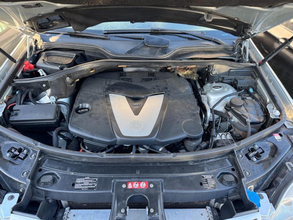T11