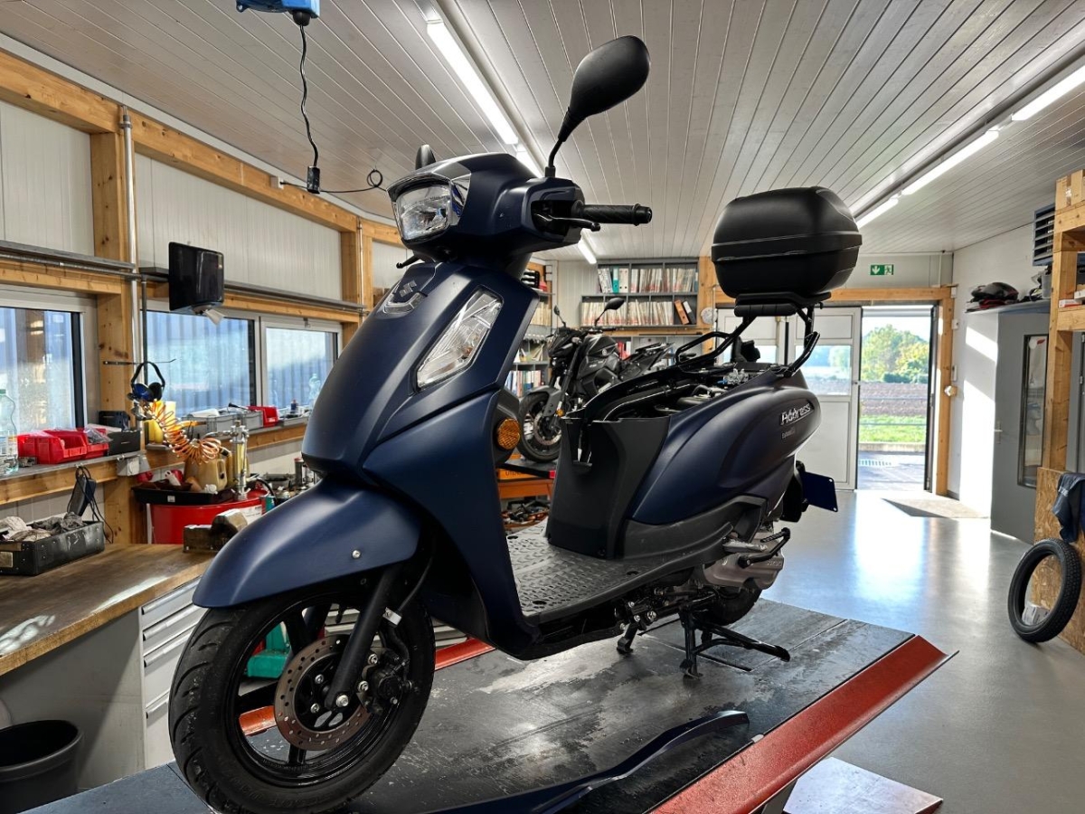 T6