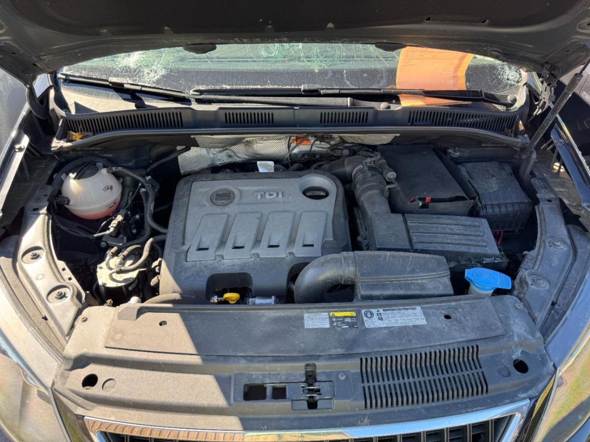 T11