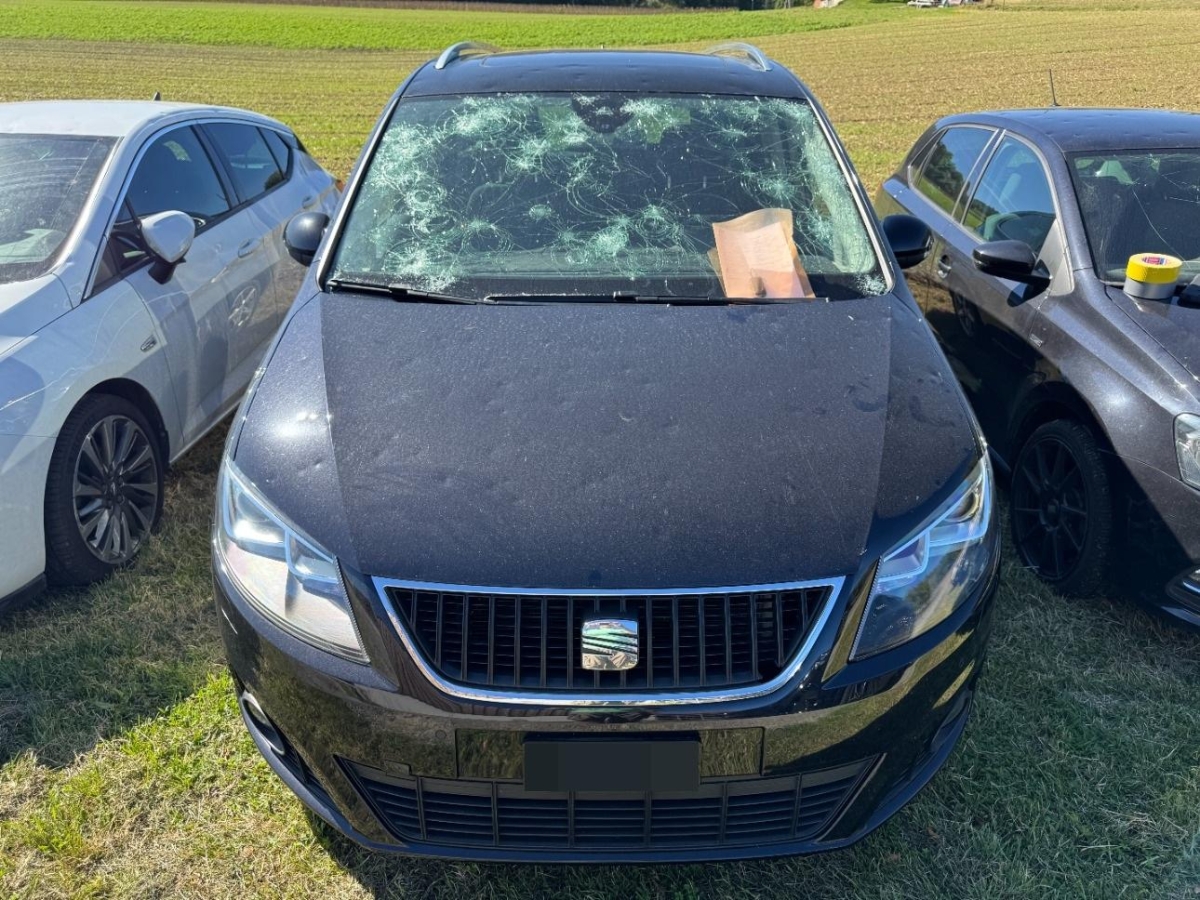 T12