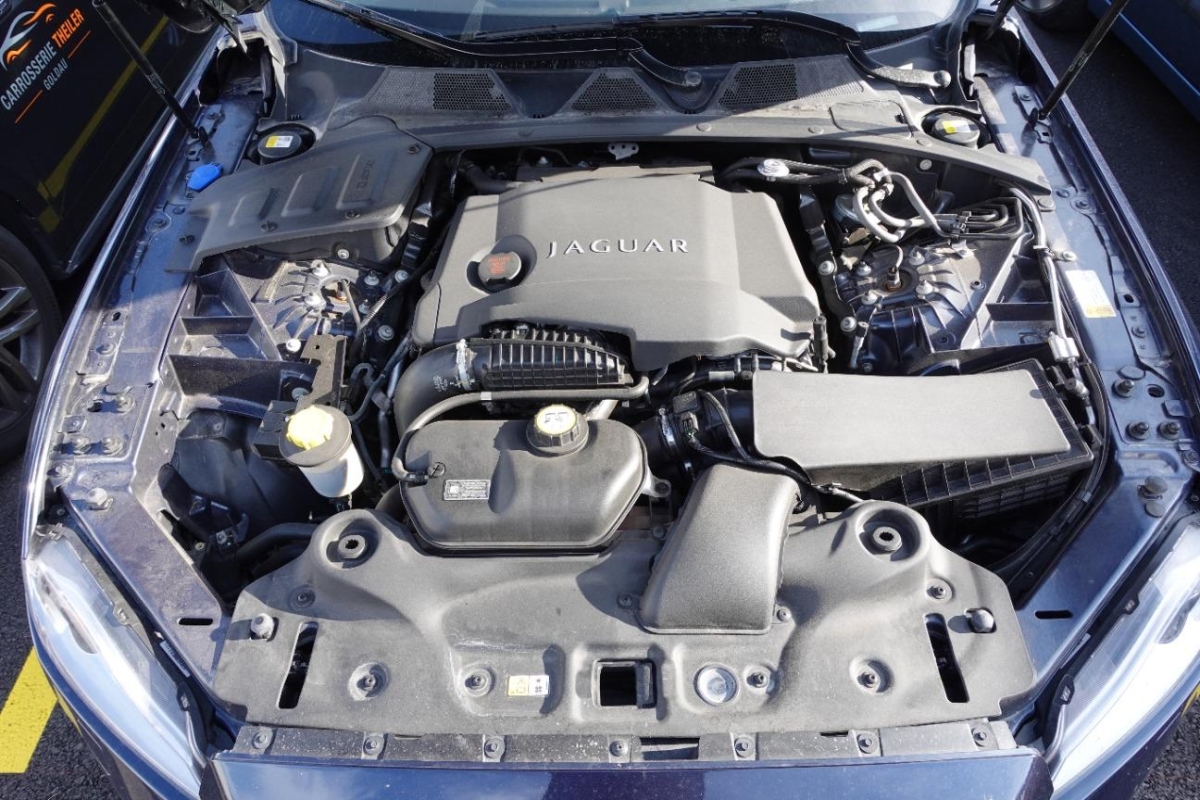 T11