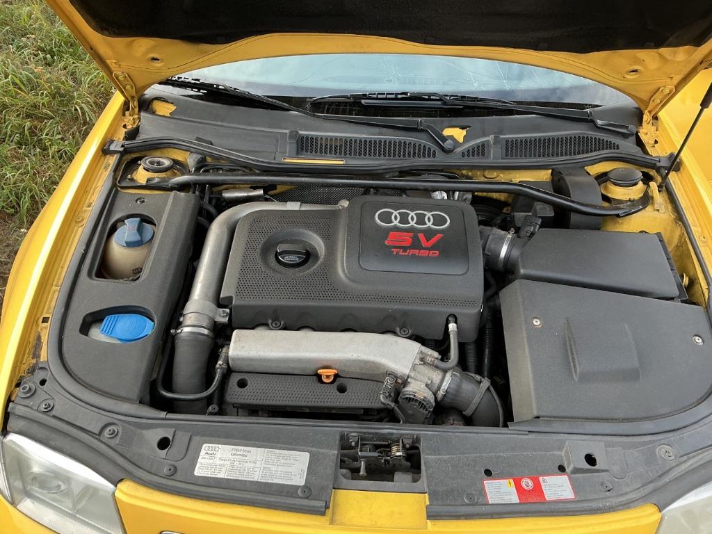 T11