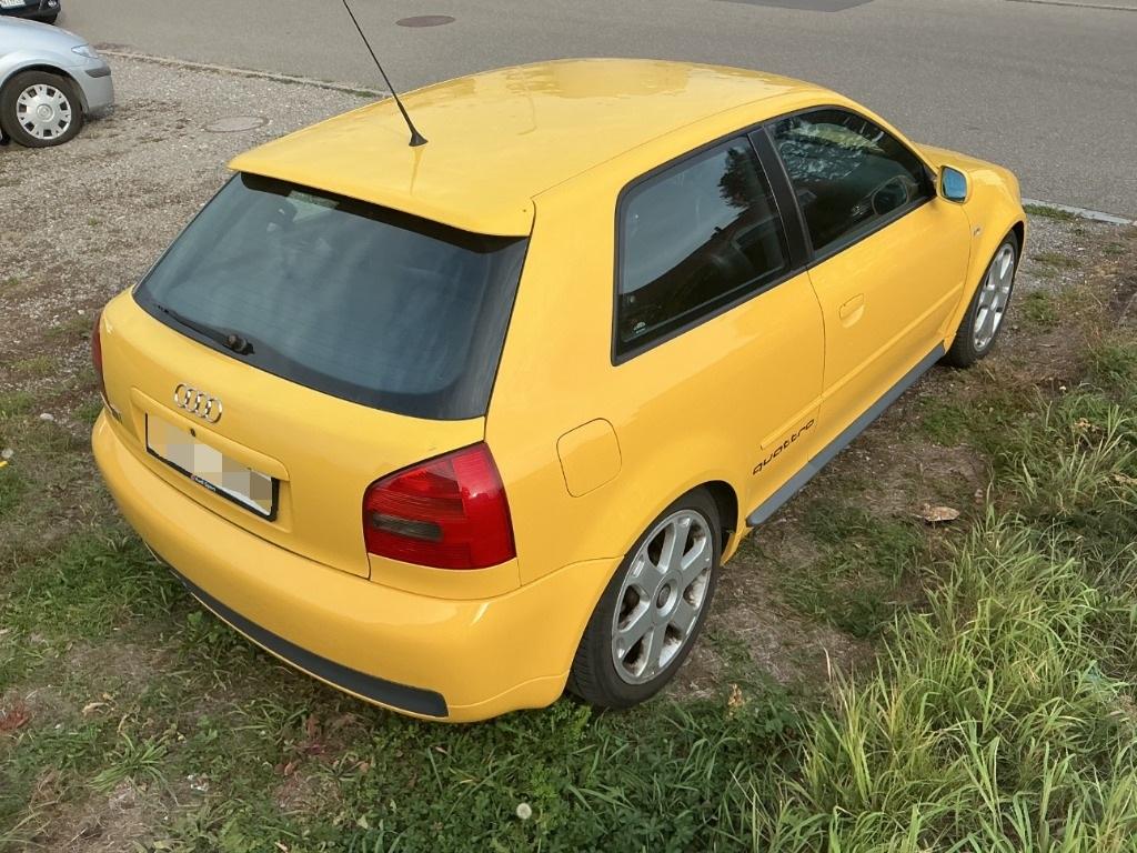T6