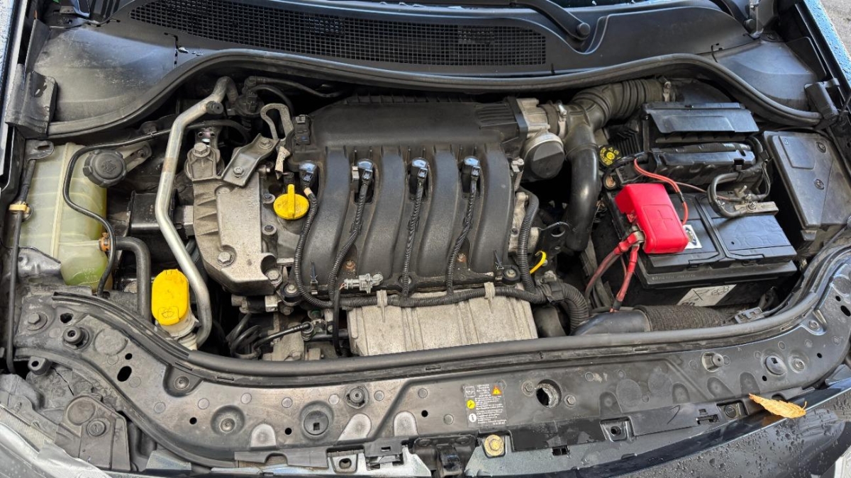 T11