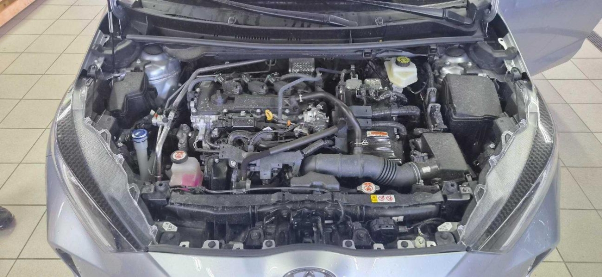 T8