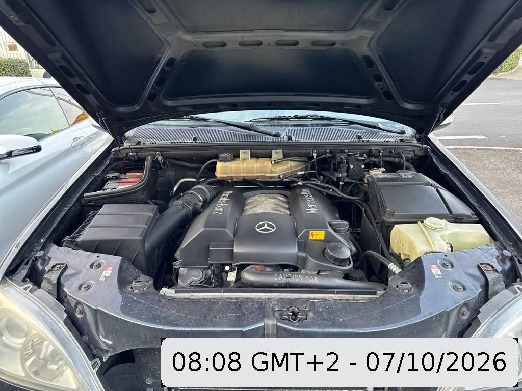 T12