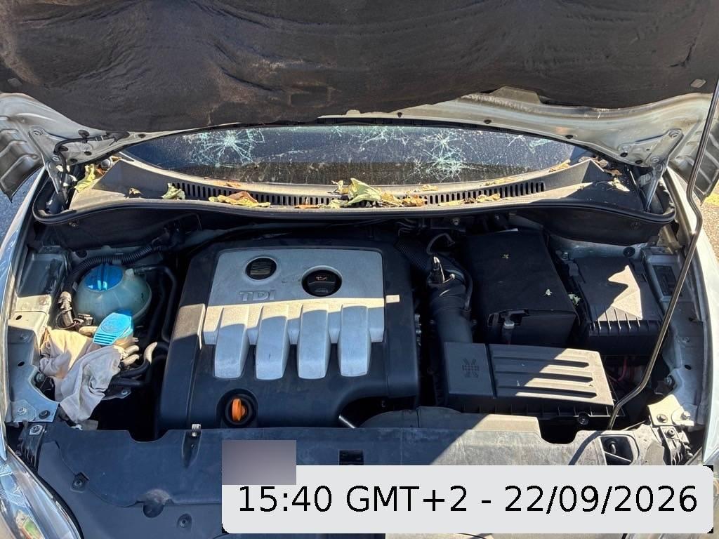 T14
