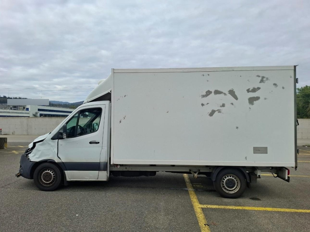 T6