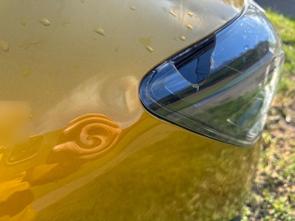 T15
