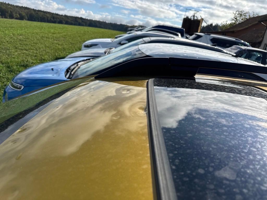 T16