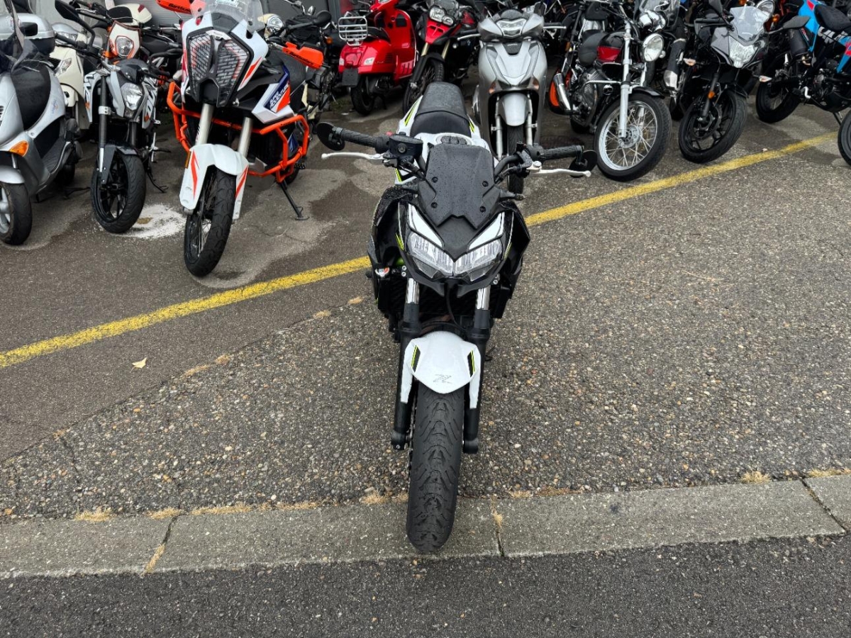 T4
