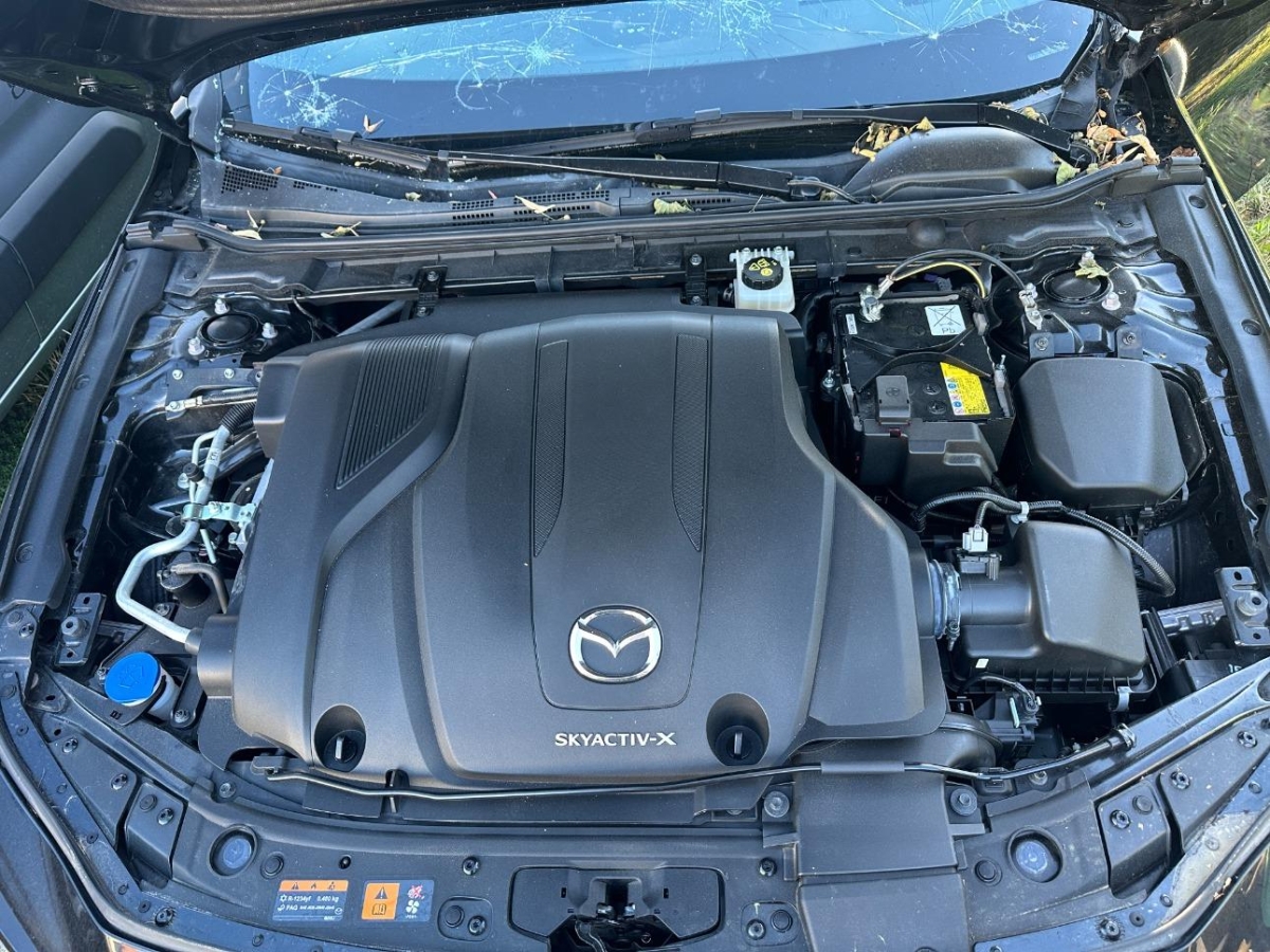 T8