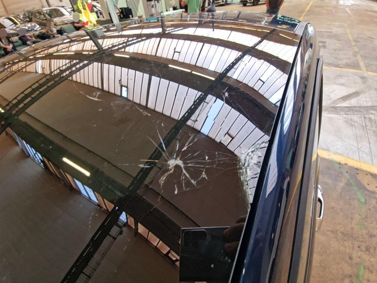 T11
