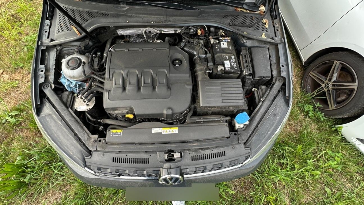 T13