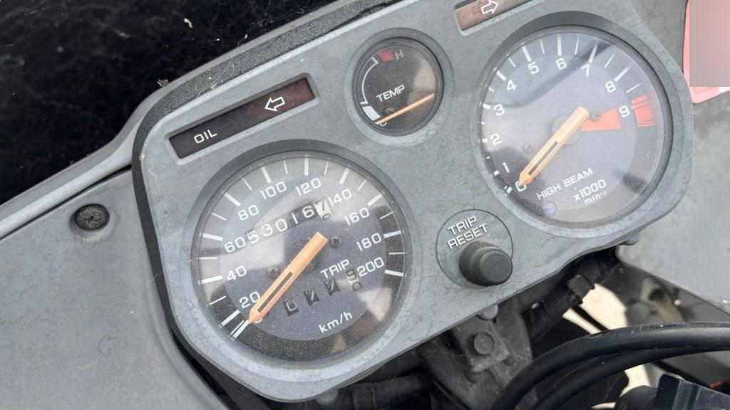 T11