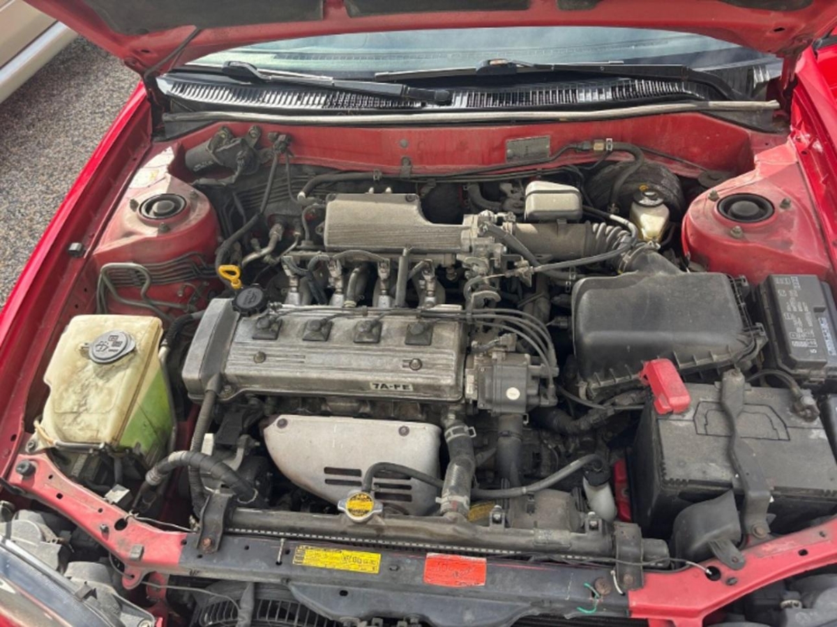 T12
