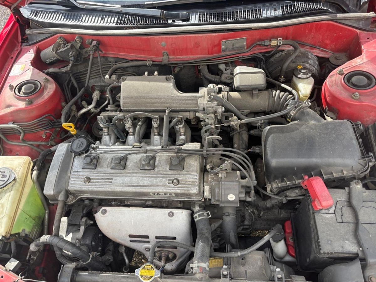 T13