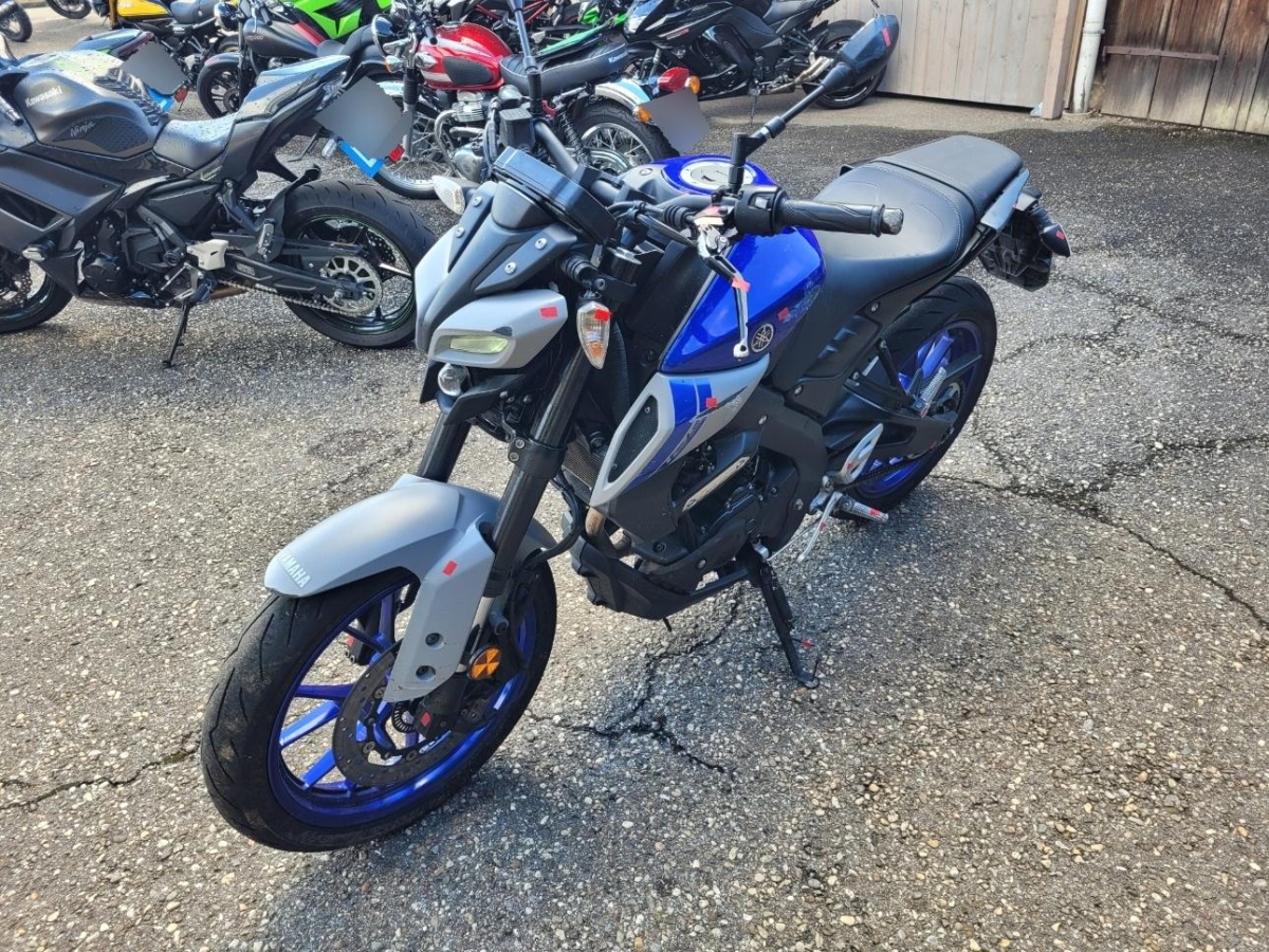 T1