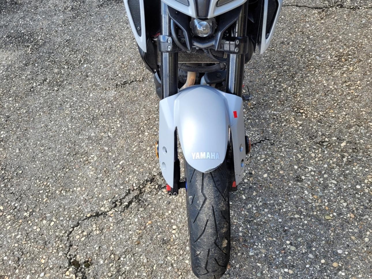 T11