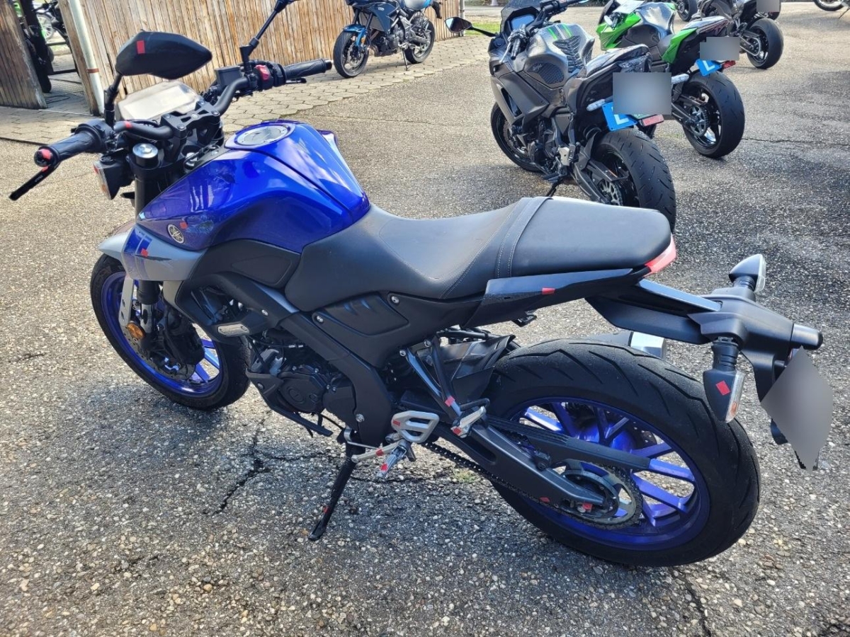 T3