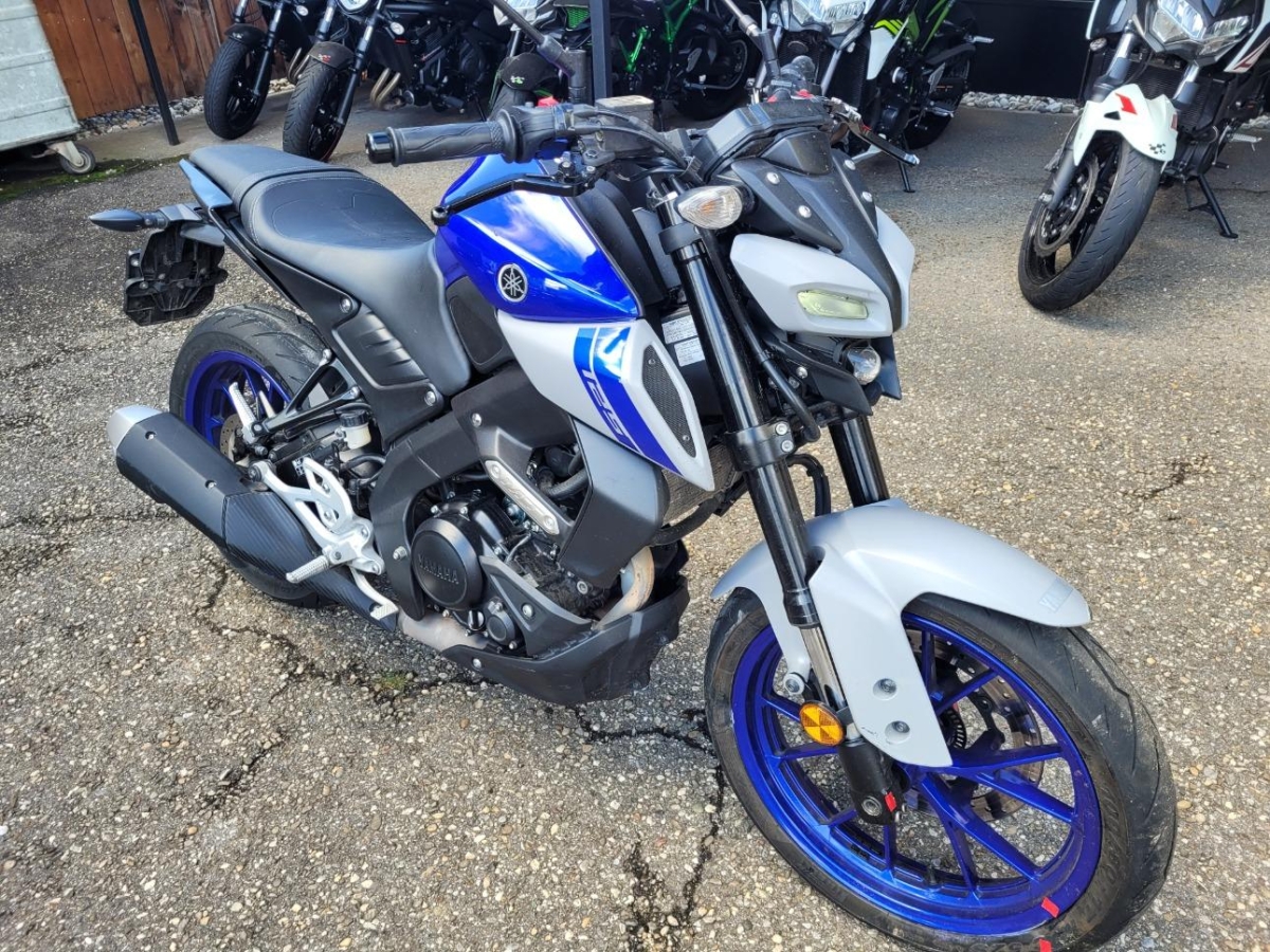 T5