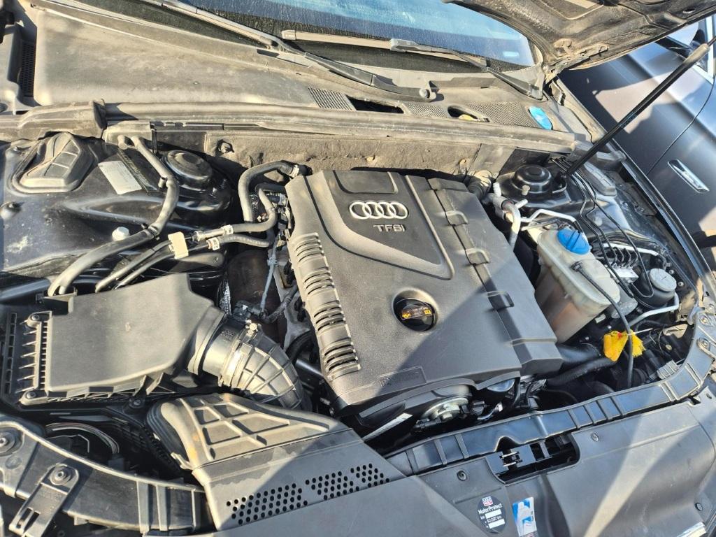 T11