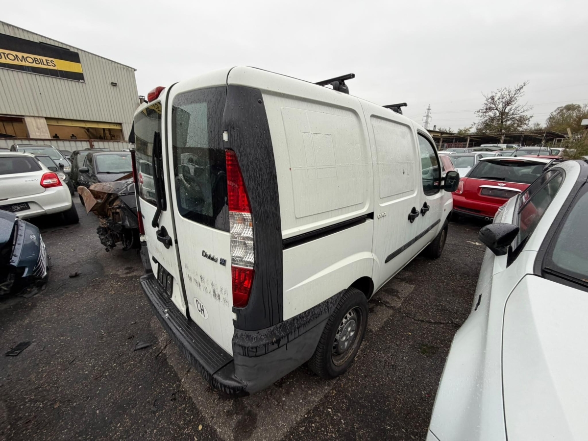 T6