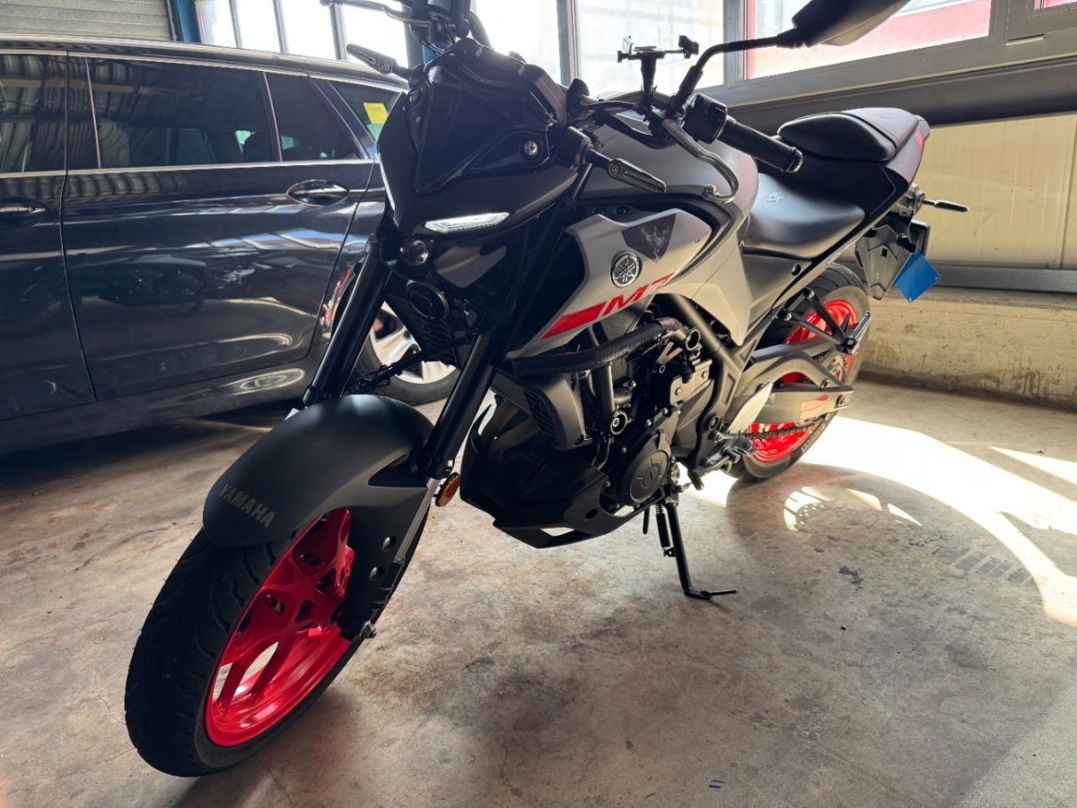 T5