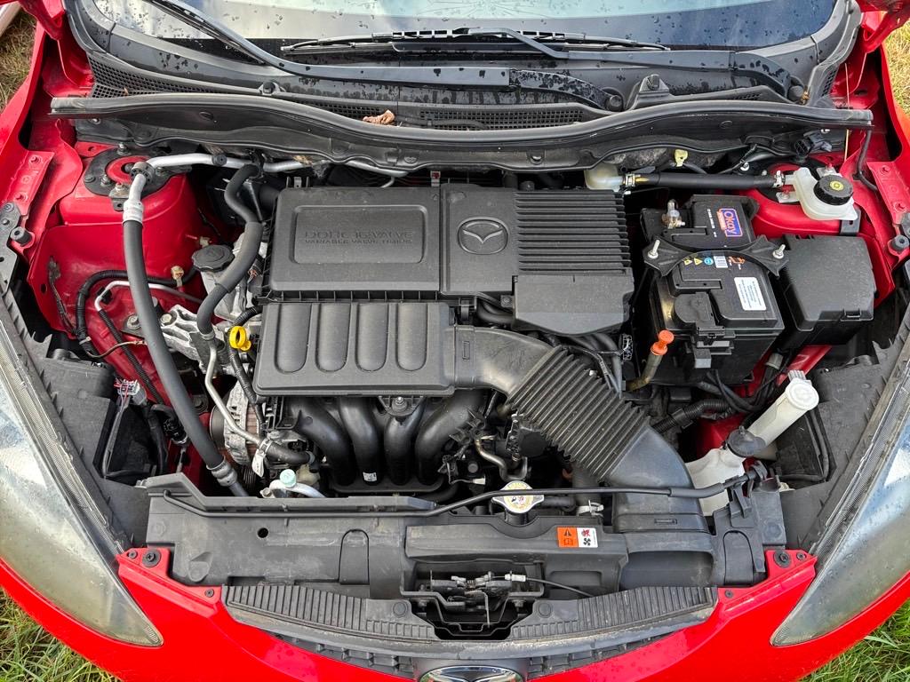 T13